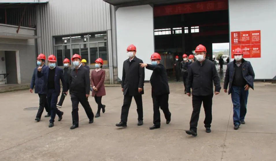 Governor Of A Province Visited CSCTRUCK For Recovery Production