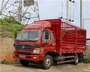 Caged Box Truck AUMARK-C33