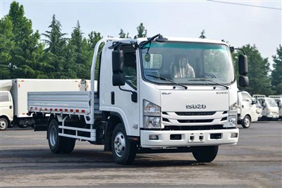 ISUZU Cargo Truck 4x4