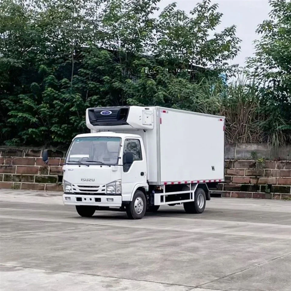 ISUZU 100P 15 CBM Refrigerator Truck