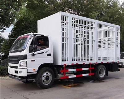 Caged Box Truck Sent To India, Supporting Secure Goods Transportation Across ...